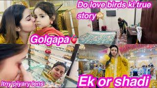 DO LOVE BIRDS KI TRUE STORYGOLGAPPAEK OR SHADINAINA AKBAR VLOGS