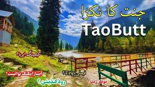 Arang Kel  Toabutt Complete Tour guide-Azad Kashmir Tour Plan -Best Places To Visit in Azad Kashmir