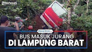 Bus Ranau Indah Masuk Jurang Usai Tabrak Petani di Lampung Barat 1 Orang Tewas
