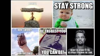 Best motivational memes.