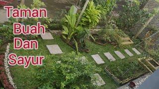 taman buah dan sayur depan rumah minimalis yang sangat subur dan melimpah