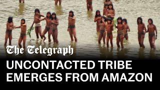 Rare footage of largest uncontacted tribe in the world shows disaster in the making