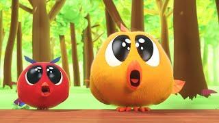 Chicky e Poyo na natureza  Onde está Chicky?  Pintinha amarelinho  Desenhos animados Infantil