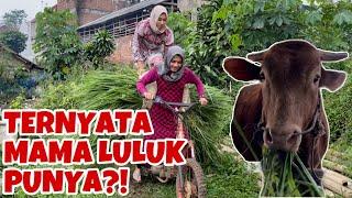 GREBEK KEBUN JERUK PUNYA NYA ??