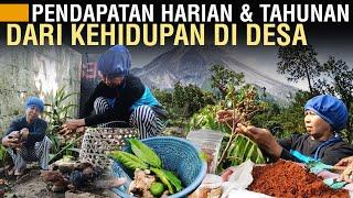 INDAHNYA HIDUP DI DESA BISA PUNYA HASIL HARIAN DAN TAHUNAN