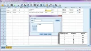 Enter data and define variables in SPSS
