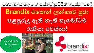 Brandix Job Vacancies 2024 The ULTIMATE Guide to Landing Your Dream Job in Sri Lanka