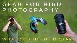 Buy This Gear to Start Bird Photography on Any Budget