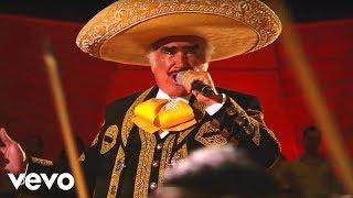 Vicente Fernández - Hermoso Cariño En Vivo