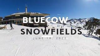 PERISHERBLUECOW OPENING 2022 #snow #snowboarder #snowboardingvideo #onlap