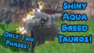 Shiny Aqua Breed Tauros After Only 2 Phases - Pokemon Violet