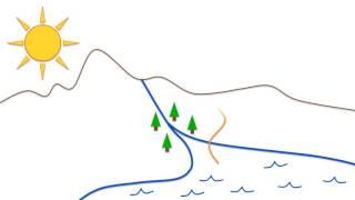 Water Cycle Educational Video created with PowerPoint