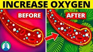 Top 10 NATURAL Ways to Increase Blood OXYGEN Levels