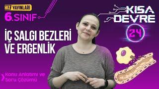 6.SINIF FEN - İç Salgı Bezleri Ve Ergenlik - 24.Ders