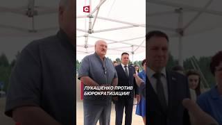 Лукашенко Какой ты бюрократ стал #лукашенко #новости #политика #беларусь #президент