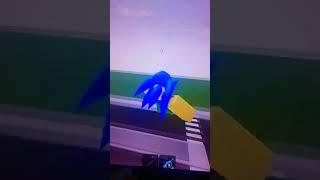 I play Sanic Chase on roblox but it crazy