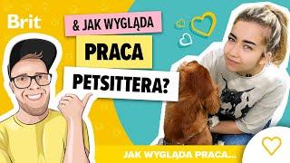 JAK WYGLĄDA PRACA Petsittera? - Brit Polska