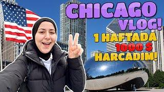 CHICAGO VLOG Chicagodaki Türk Market ve Restoranalarına Gittik Chicagoda Alışveriş Amerika Vlog