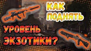 DIVISION 2 КАК ПОДНЯТЬ УРОВЕНЬ ЭКЗОТИКИ ГИР СКОР  БЕСПОЩАДНЫЙ 500  КОЛЫБЕЛЬНАЯ 500