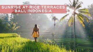 Sunrise at Tegalalang Rice terraces  Bali Vlog 1 Part 1  Sony A7II
