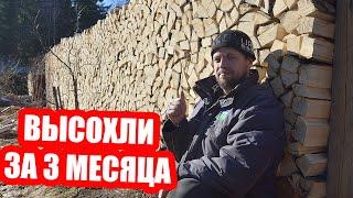 ВСЁ о заготовке дров в ОДНОМ ВИДЕО От распиловки бревна до сухого полена