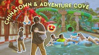 Exploring Chinatown Adventure Cove Experience & Revisiting My Purpose  • Red Diaz