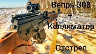 Вепрь-308+Коллиматор+Отстрел