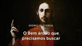 Homilia Diária  A ira nos impede de buscar o verdadeiro Bem Quinta-feira da 30ª S.do Tempo Comum