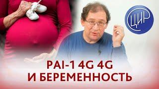 PAI-1 4g4g при беременности. Какова опасность PAI-1 4g4g и mthfr при беременности и на каких сроках?