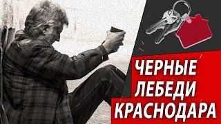 Чёрные Лебеди Краснодара  Журналистские расследования Евгения Михайлова