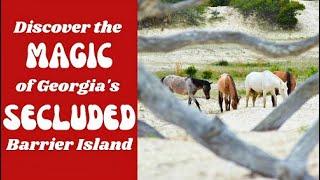 Cumberland Island * COASTAL GEORGIAS Magical SECLUDED ISLAND GA Trip Ep.13 #thingstodoingeorgia