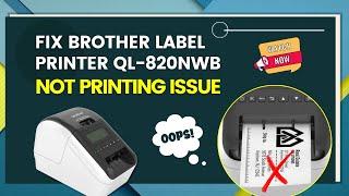 Fix Brother Label Printer Ql-820NWB Not Printing Issue  Printer Tales