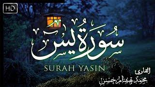 سورة يس  كاملة  القارئ محمد هشام Surah yaseen