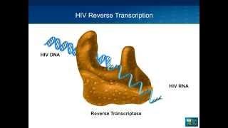 Management of NRTI Resistance