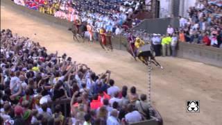 Palio di Siena 16 agosto 2014