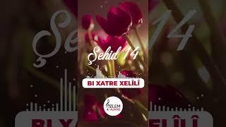 Şehid 14  Bı Xatre Xelîlî  Özcan Atsat  Özlem Ajans   #ilahi #müzik #reels