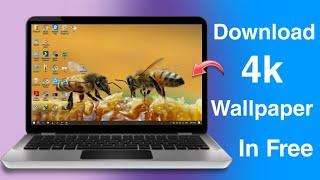 How To Download 4K Wallpapers  Thems For LaptopPC - Edition 2024