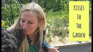 FULL Garden Tour June 2024    Raised Bed Gardening    Ontario Zone 5b