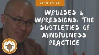 Impulses & Impressions the Subtleties of Mindfulness Practice - Br Phap Dung  2018 04 08