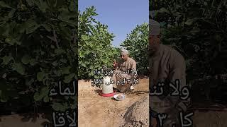 أفضل الصدقات سقيا الماء