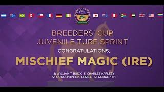 2022 Breeders Cup Juvenile Turf Sprint - Mischief Magic