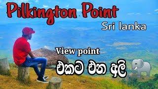 Pilkington Point  360 View  පූනාගල තේ වතු මැදින්  Sri lanka  secret traveller  Vlog #01