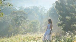 The Feeling of the Season Calming Days of Fruit Picking and Traditional Craft