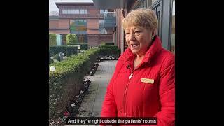 Meet the Team - Marie Norton Volunteer Gardener St Francis Hospice Dublin