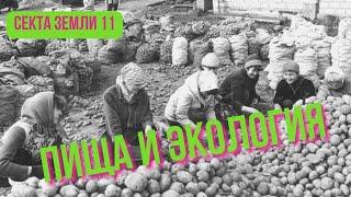 Что не так с продуктами питания? Как мы можем сделать свою пищу экологичней?