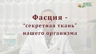 Фасция - секретная ткань нашего организма.