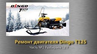 Dingo 125 ремонт двигателя. Часть 2. Разбираем ЦПГ