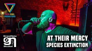 At Their Mercy - Species Extinction