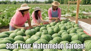 Watermelon Planting 101 A Comprehensive Guide