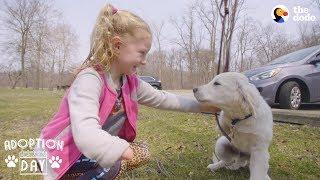 Very Special Puppy Gets A Sister Whos Just Like Him - POPCORN  The Dodo Adoption Day